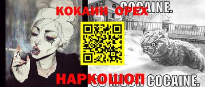 эйфоретик Гатчина