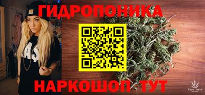 spice Гагарин