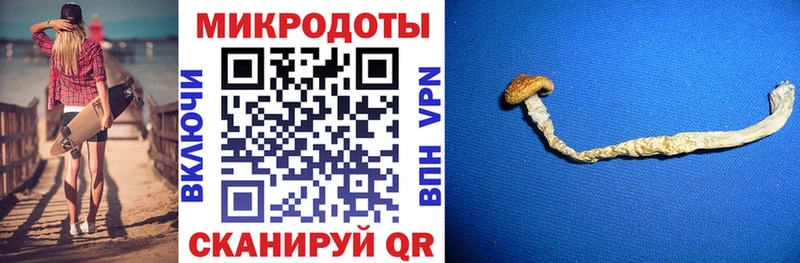 Галлюциногенные грибы MAGIC MUSHROOMS  купить закладку  Губкинский 