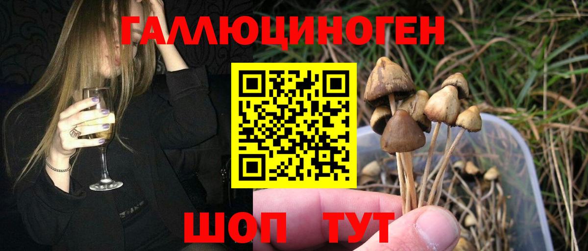 Галлюциногенные грибы MAGIC MUSHROOMS Губкинский