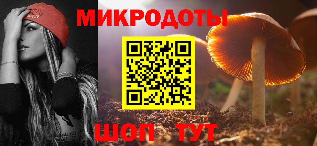 что такое   Губкинский  Галлюциногенные грибы Psilocybine cubensis  Псилоцибиновые грибы мухоморы 